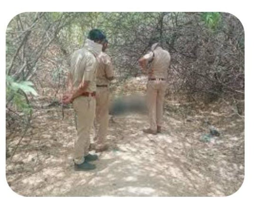 झाड़ियों में मिला अज्ञात शव, शिनाख्त नहीं