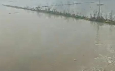 नहर कटने से 10 बीघा गेहूँ की फसल डूबी,किसान मायूस