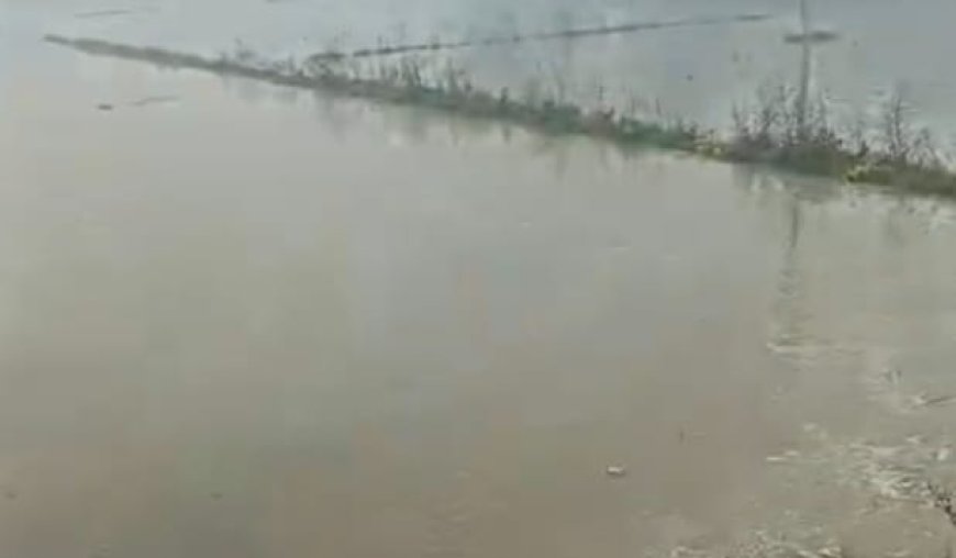 नहर कटने से 10 बीघा गेहूँ की फसल डूबी,किसान मायूस