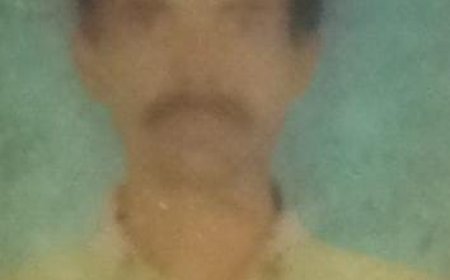 कुंभ मेले में गए हीरालाल सड़क हादसे में घायल,इलाज के दौरान मौत