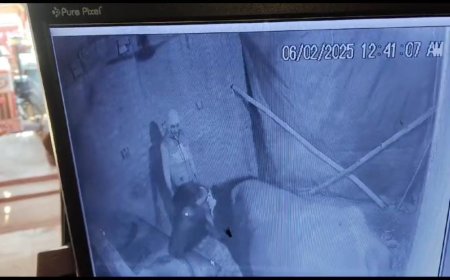 घारी में बंधी भैंस चोरी, पकड़ाए चोर को पैसे लेकर छोड़ने का आरोप