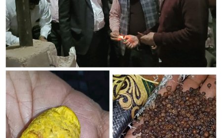 खाद्य विभाग की छापेमारी में मिलावट के खेल का भंडाफोड़, हल्दी में मिला रंग