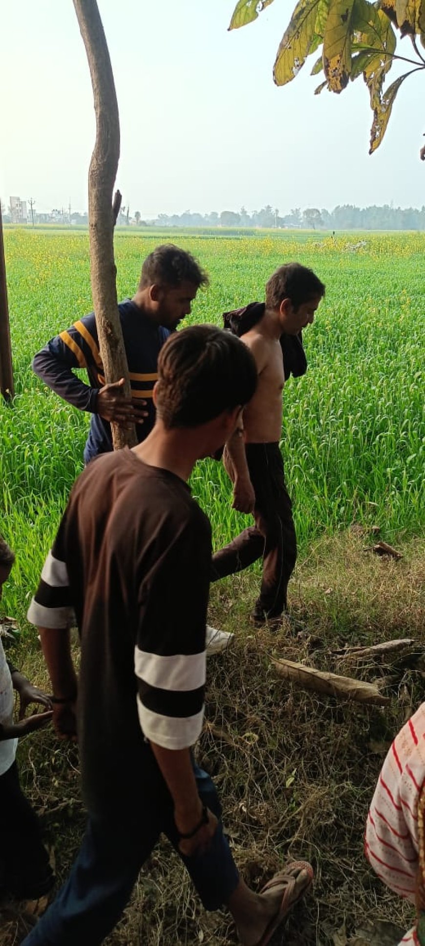 करंट की चपेट में आकर झुलसे लाइनमैन,हालत गंभीर