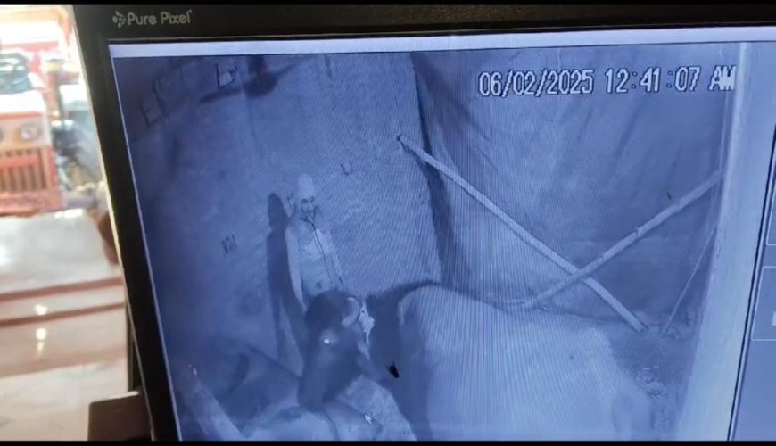 घारी में बंधी भैंस चोरी, पकड़ाए चोर को पैसे लेकर छोड़ने का आरोप