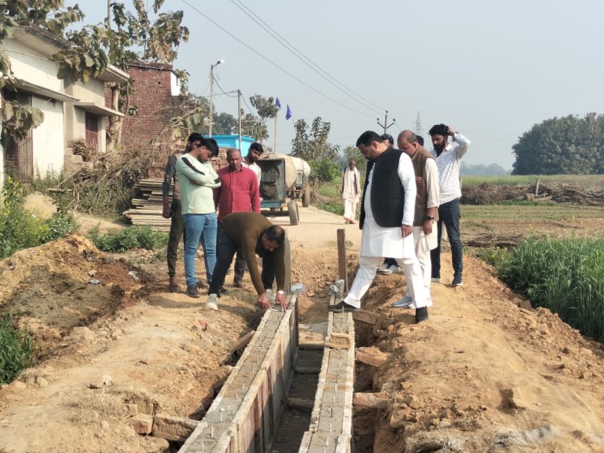 बनकटी में नाला निर्माण व बरम स्थान के जीर्णोद्धार का निरीक्षण