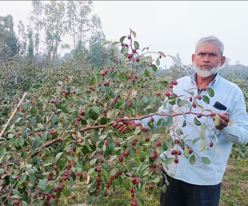 बागाती कृषि से आत्मनिर्भर बन रहे मोहम्मद हसन, सेल्फी प्वाइंट बनी एप्पल बेर की बगिया