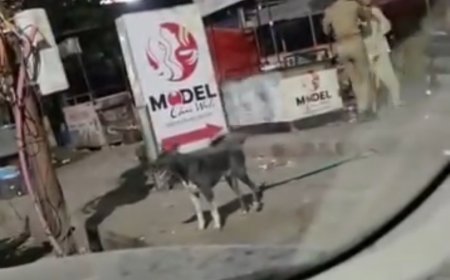 मॉडल चाय वाली सिमरन व पुलिस के बीच मारपीट का वीडियो सोशल मीडिया पर वायरल