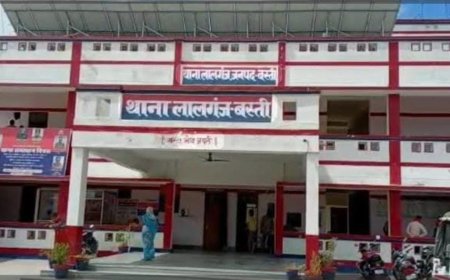 बगीचे में गोवंशीय पशु का सिर मिलने से इलाके में सनसनी