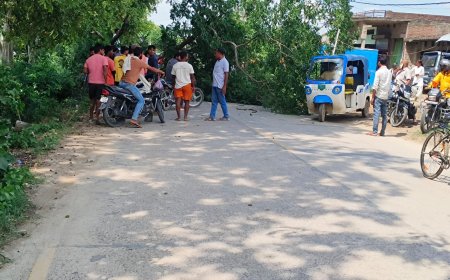 कुदरहा लालगंज मार्ग पर पेड़ गिरने से आवागमन ठप, बाल बाल बचे राहगीर