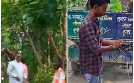 लेखपाल की दबंगई व पेड़ों की कटान मामले में मुकदमा दर्ज