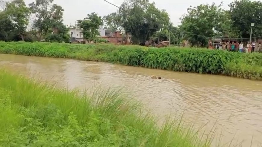 नहर में उतराते मिली अर्धनग्न महिला का शव,जांच में जुटी पुलिस
