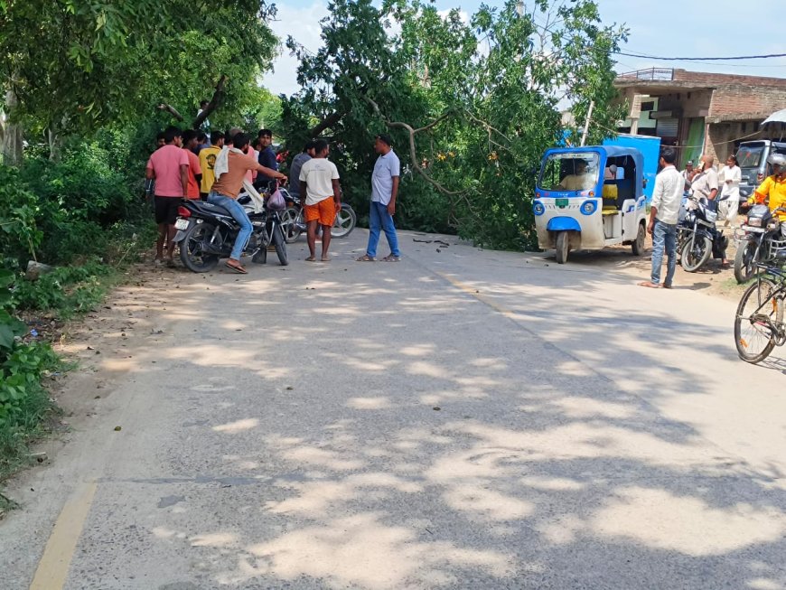 कुदरहा लालगंज मार्ग पर पेड़ गिरने से आवागमन ठप, बाल बाल बचे राहगीर