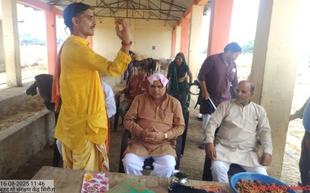 कृष्ण जन्माष्टमी पर गौशालाओं में पूजी गई गौमाताएँ