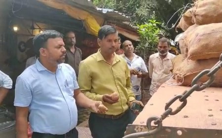 फूड विभाग की छापेमारी में पकड़ाया दो ट्रक लाल आलू जप्त