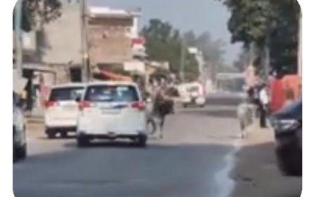 सीएम योगी के काफ़िले के बीच आई गाय, सुपरवाइजर निलंबित