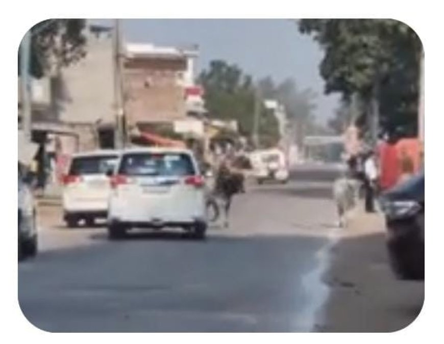 सीएम योगी के काफ़िले के बीच आई गाय, सुपरवाइजर निलंबित