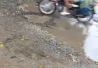 हफ्ते भर भी नहीं झेल पाई पैचिंग,बीच से टूटी सड़क, फिर उभरने लगे गढ्ढे